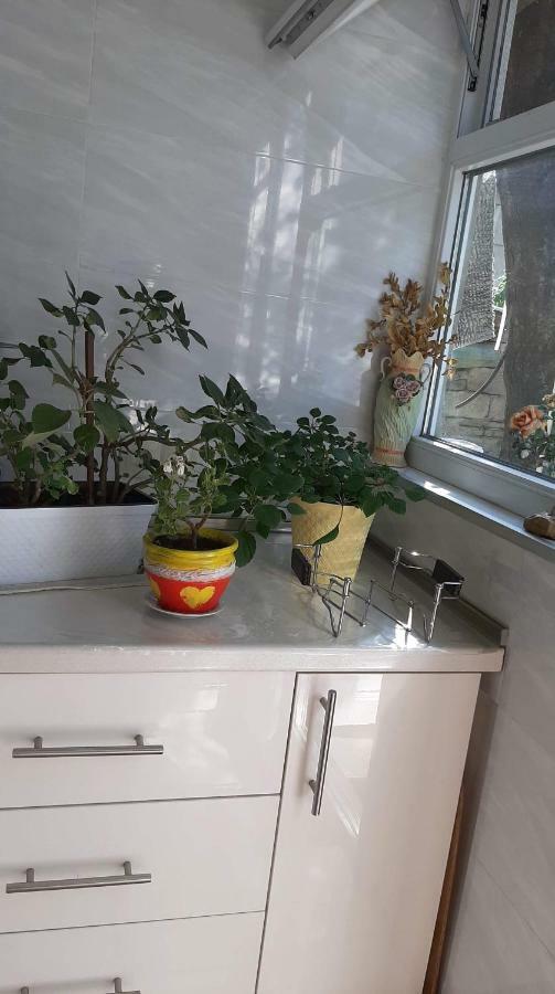 Newly Renovated House Apartment Tbilisi Exterior photo